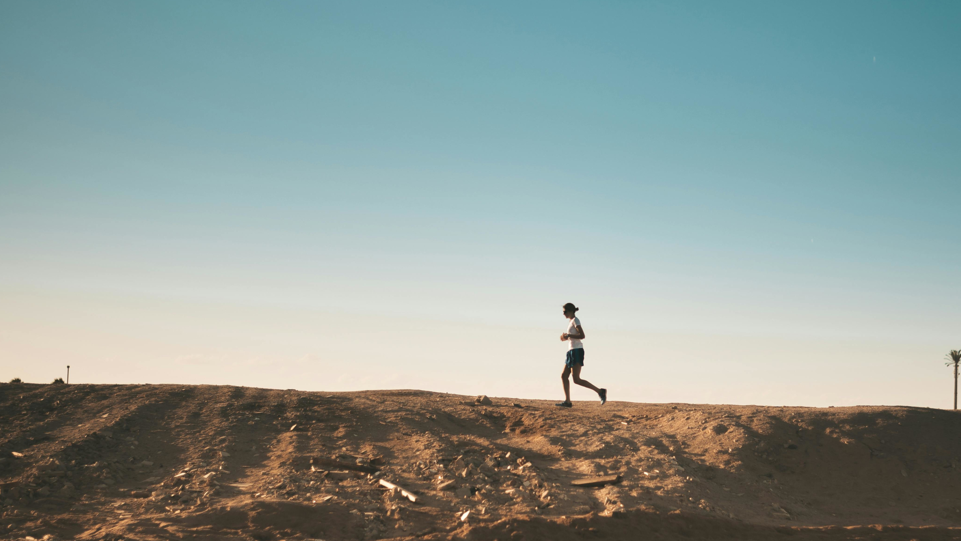 Picture of the runner in a distance