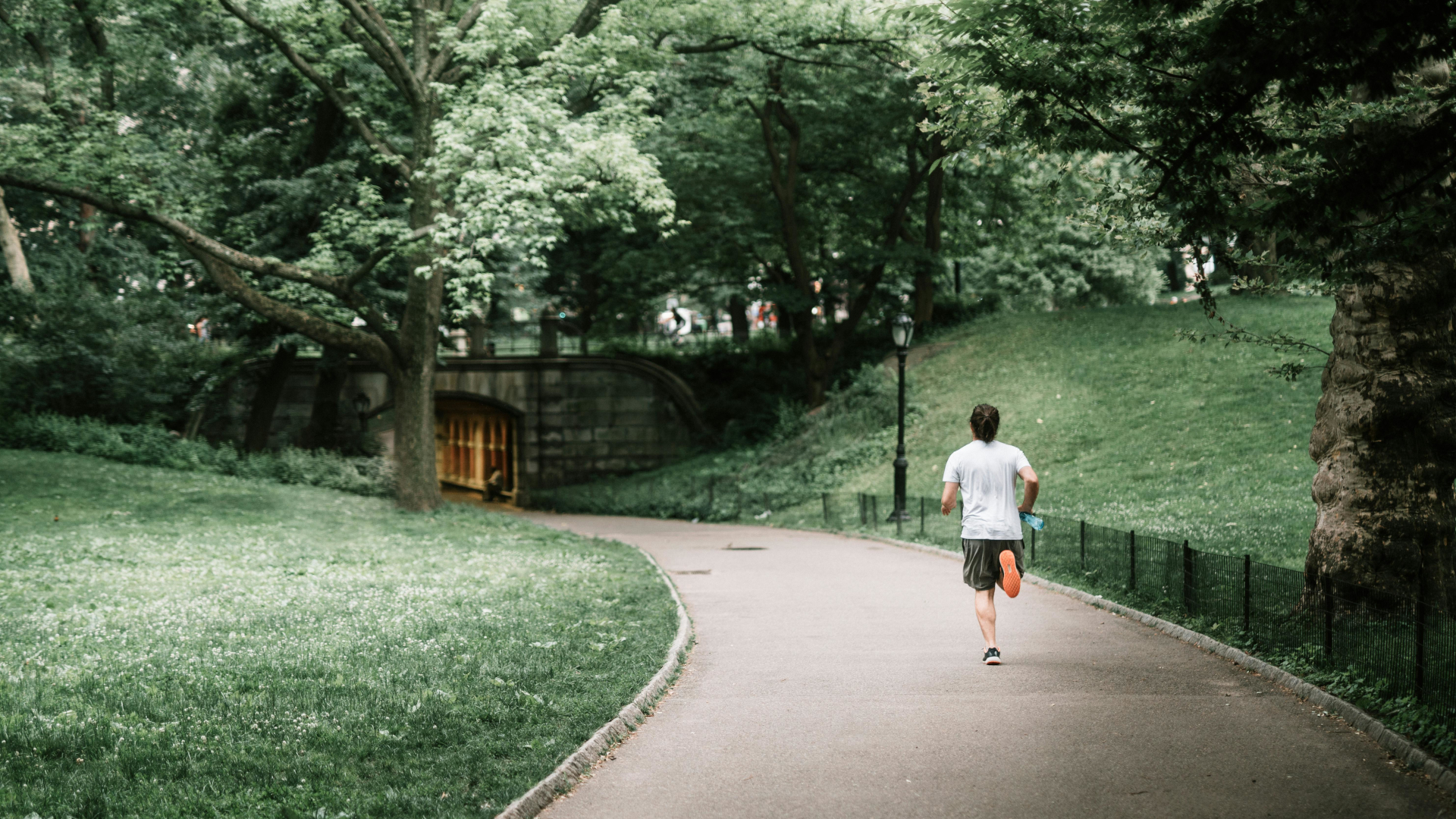 Picture of the runner in a park